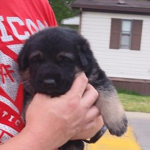 Meet your Posher, Scott